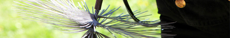 Banner - Michael Mertens